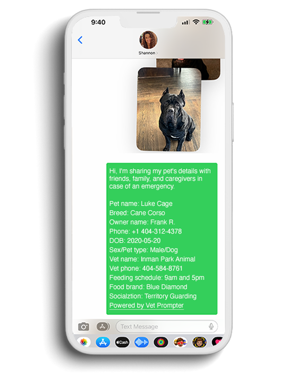 mobile phone screen a SMS text of a pet’s profile