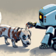 Ai Robot taking care of a dog