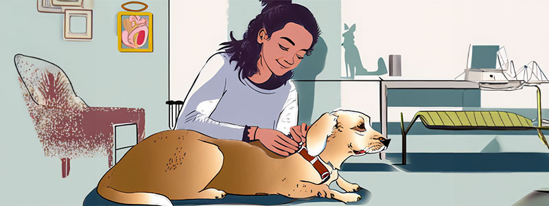 Female dog owner doing a dog health assessment